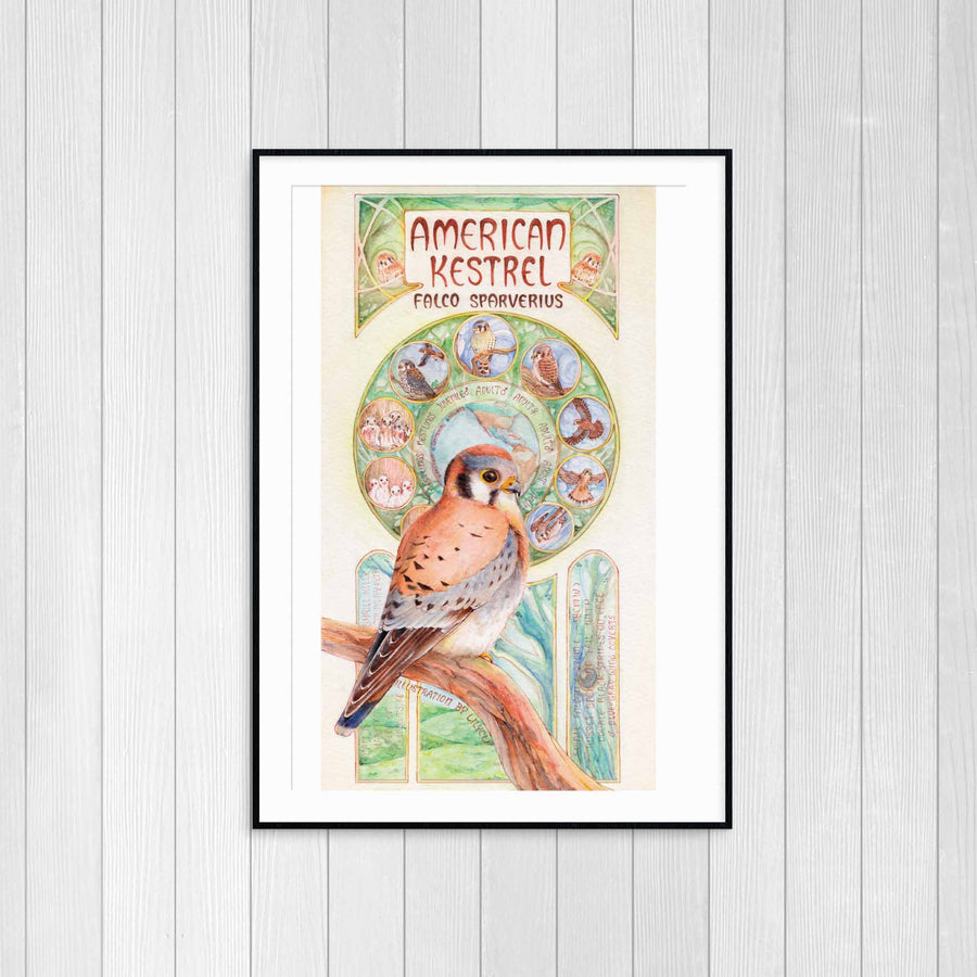 Kestrel Poster Print