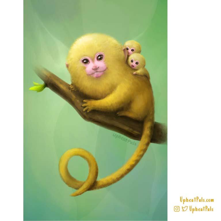 Marmoset Poster Print