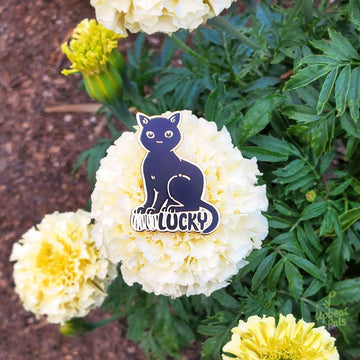 Lucky Cat Enamel Pin